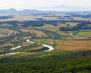 饶河天气预报15天