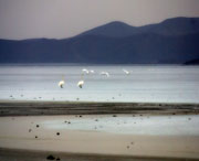 北票天气预报15天