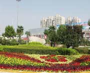 长安天气预报30天