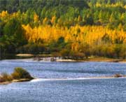 贵德天气预报15天