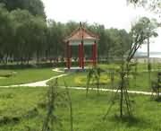 原阳天气预报7天