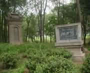 封丘天气预报15天