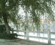 商城天气预报60天