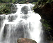 天台天气预报7天