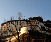 进贤天气预报15天