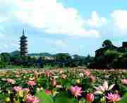 石城天气预报30天