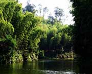 长宁天气预报40天