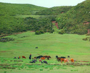 昭觉天气预报15天