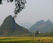 和平天气预报60天