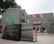 西林天气预报60天